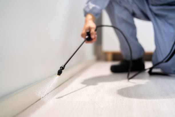Licensed Mosquito Control service in Colorado City, TX - Show Me Pest Control