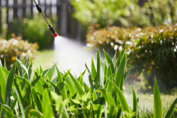 24/7 Emergency Mosquito Control experts in Colorado City, TX