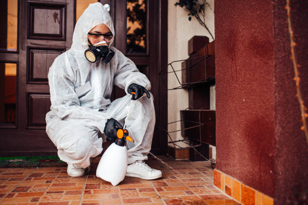 Reliable Mosquito Control contractor in Colorado City, TX by Show Me Pest Control